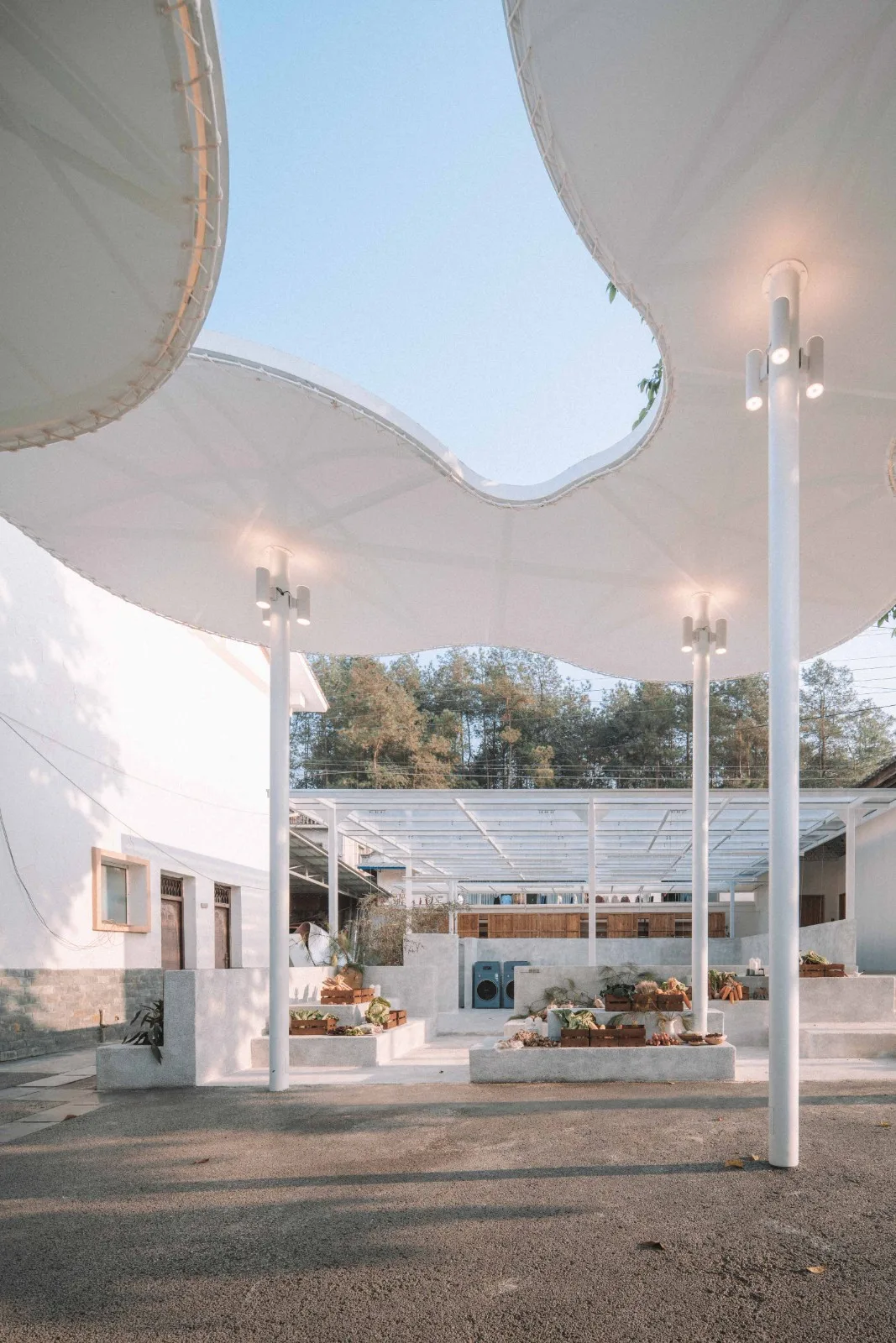 BIM Architecture | Big Fish Cloud Sea Mom Farm/Dream Renovation Home