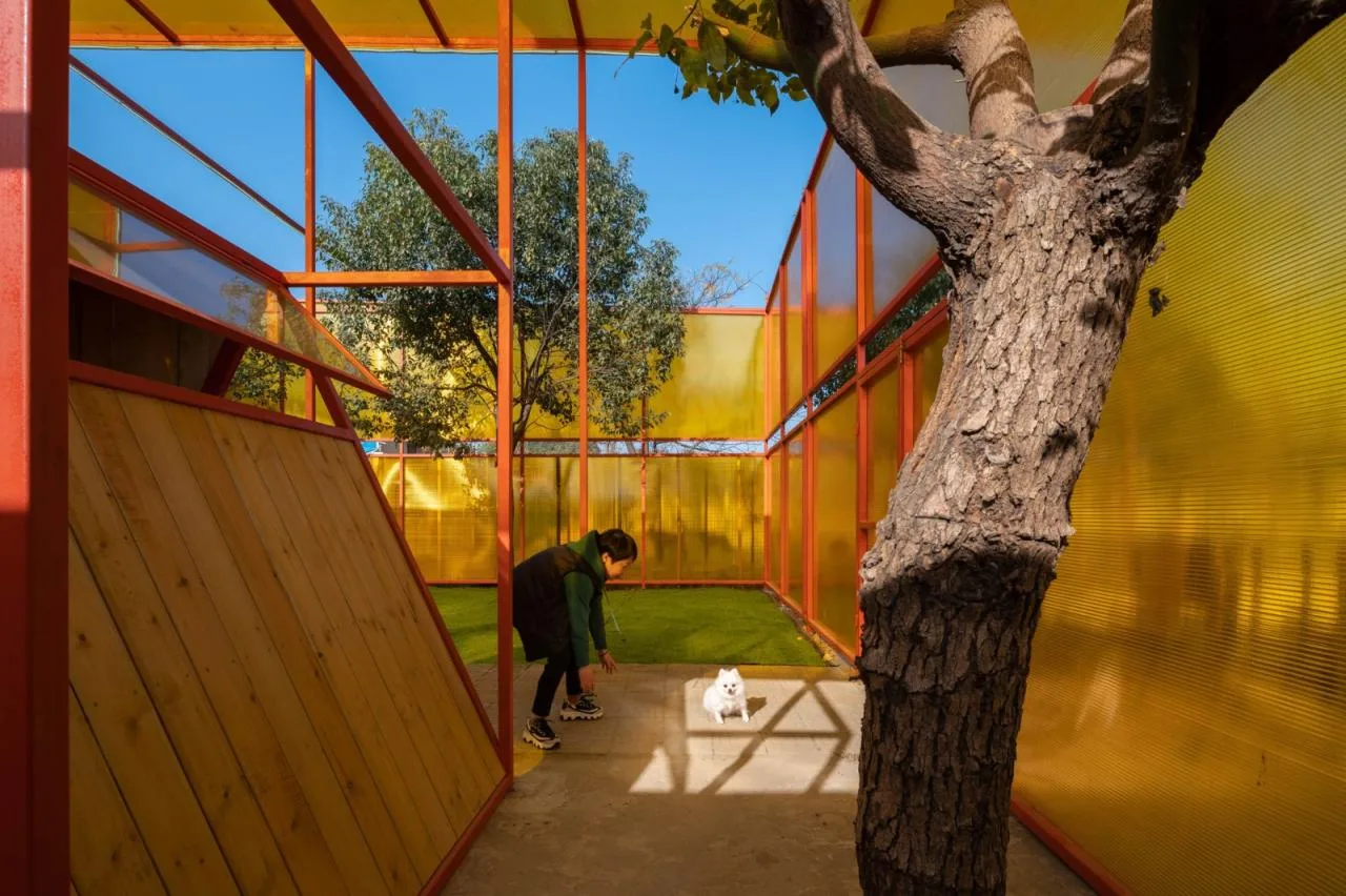 BIM Architecture | Stray Animal Protection Base/UAO Ruituo Design