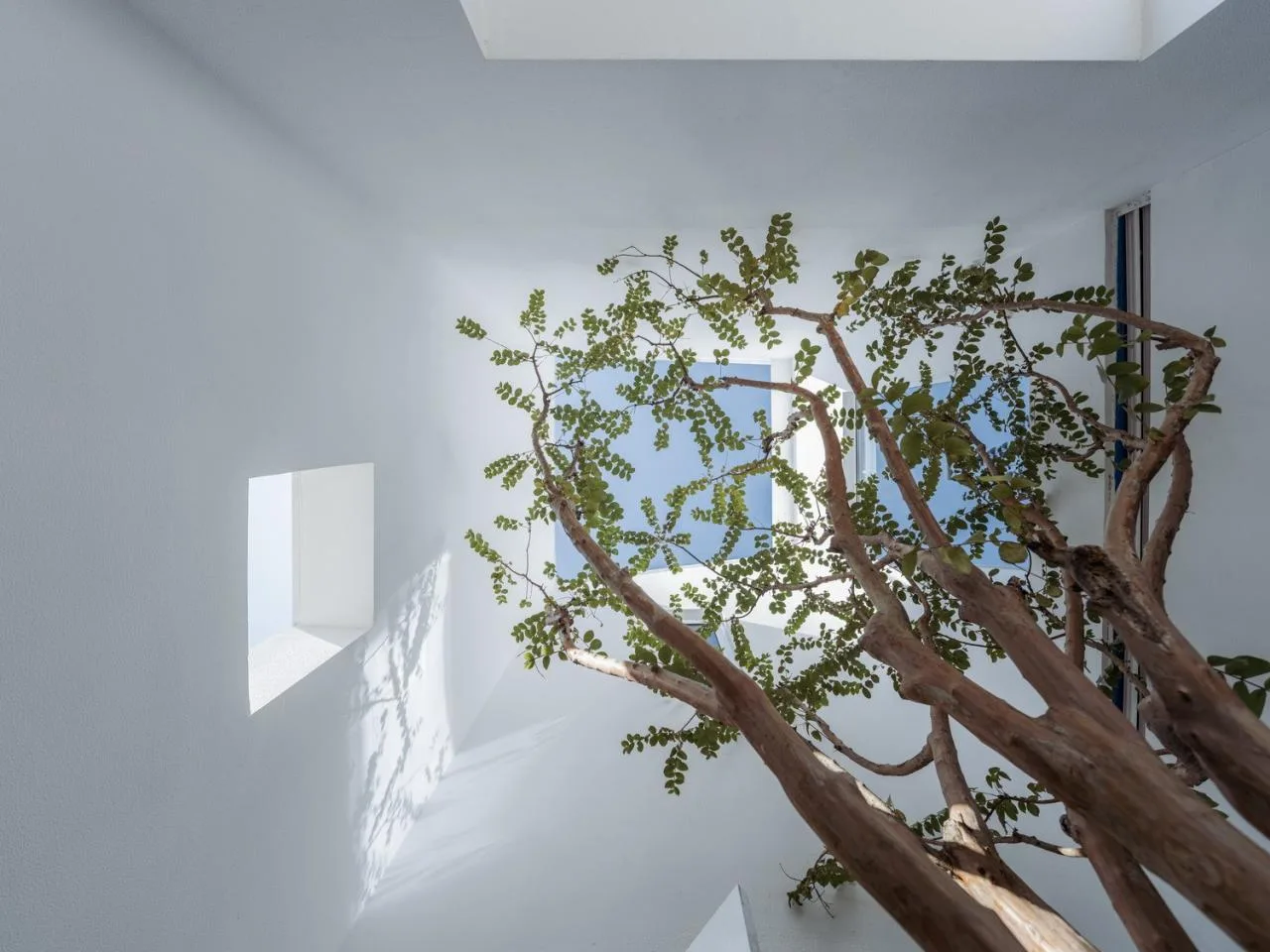 BIM Architecture | Section is Facade: White Suzhou Companion House/Wutopia Lab