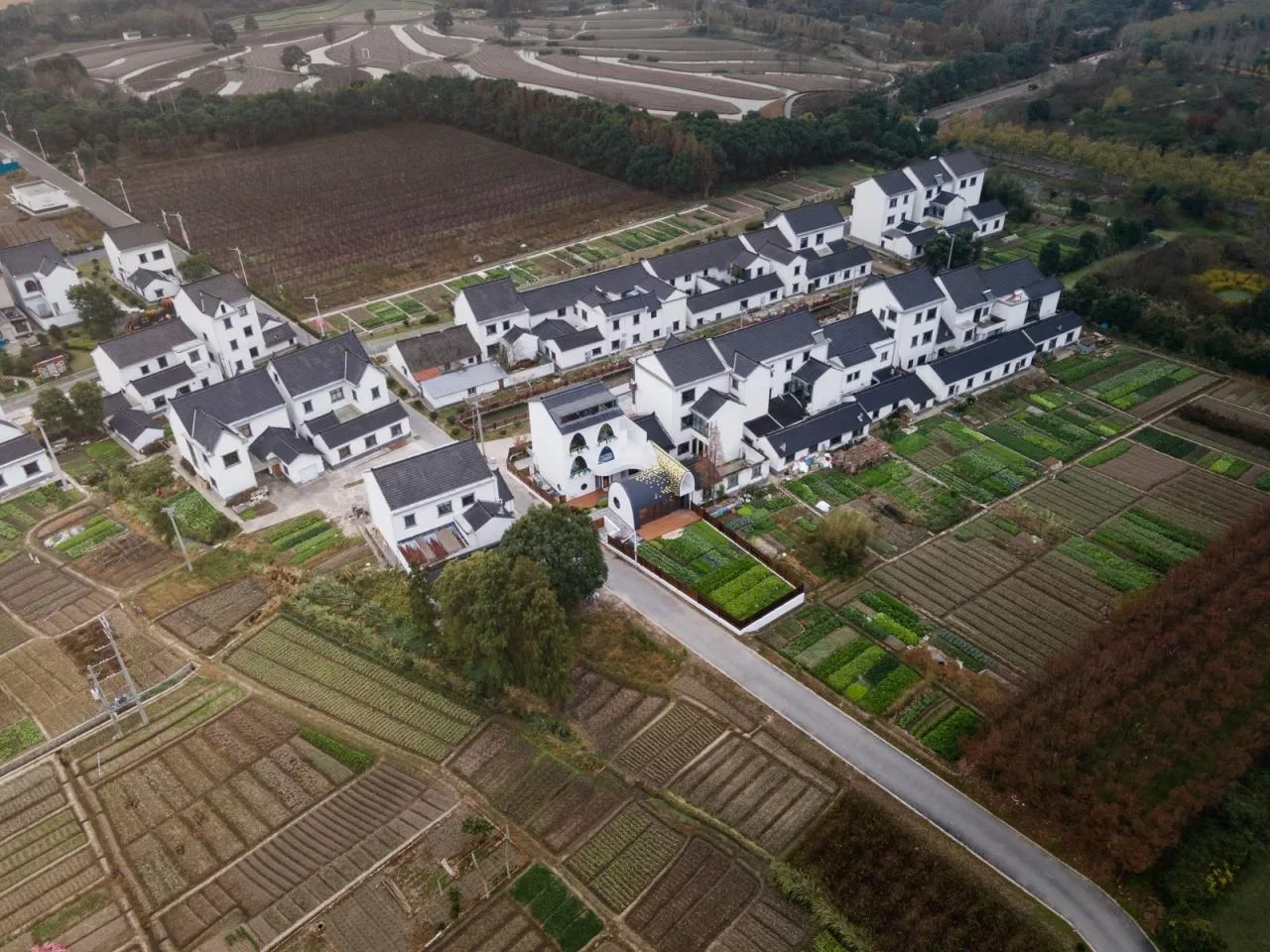 BIM Architecture | Renovation of Huahai Homestay in Daijing Village/Fandu Design Firm