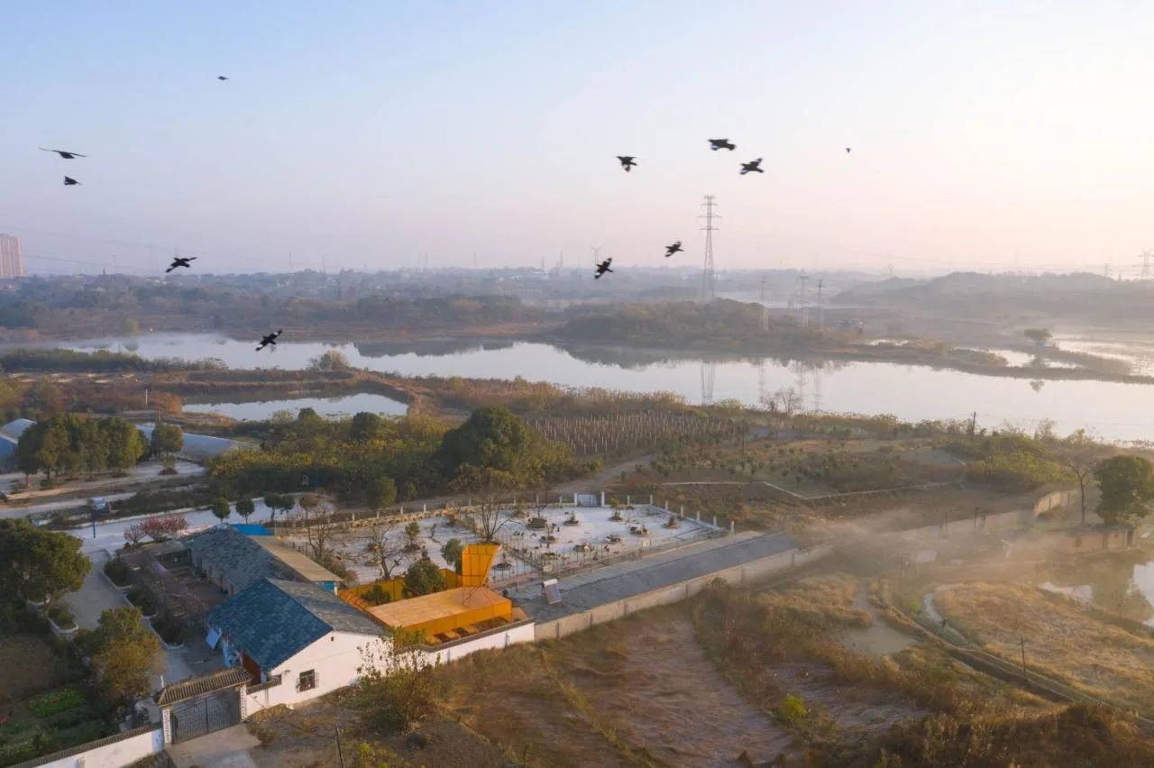 BIM Architecture | Stray Animal Protection Base/UAO Ruituo Design