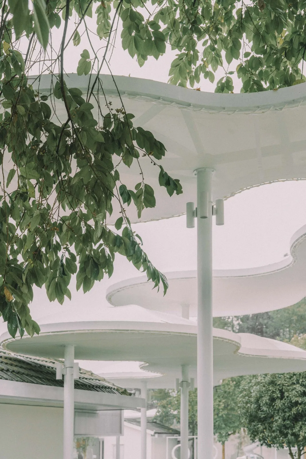 BIM Architecture | Big Fish Cloud Sea Mom Farm/Dream Renovation Home