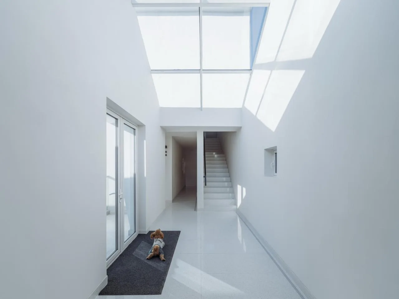 BIM Architecture | Section is Facade: White Suzhou Companion House/Wutopia Lab