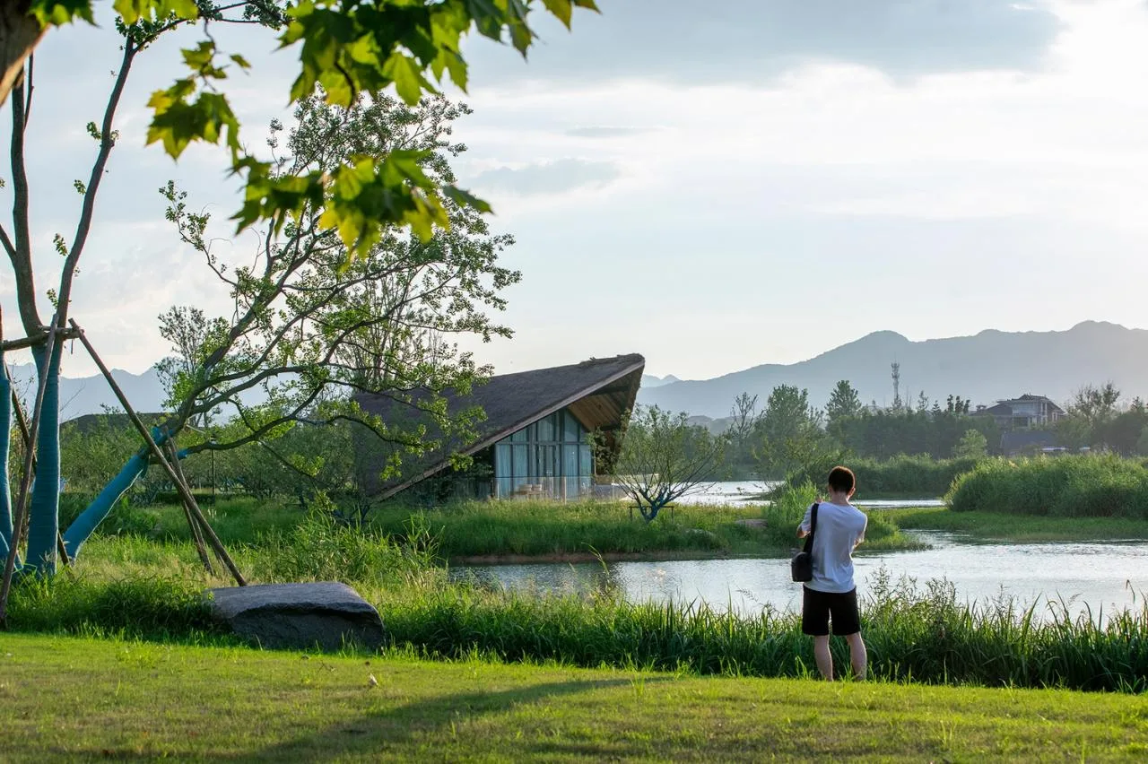 BIM Architecture | Fuyang Yangpi Lake Wetland Ecological Hotel/Jianlin Architecture