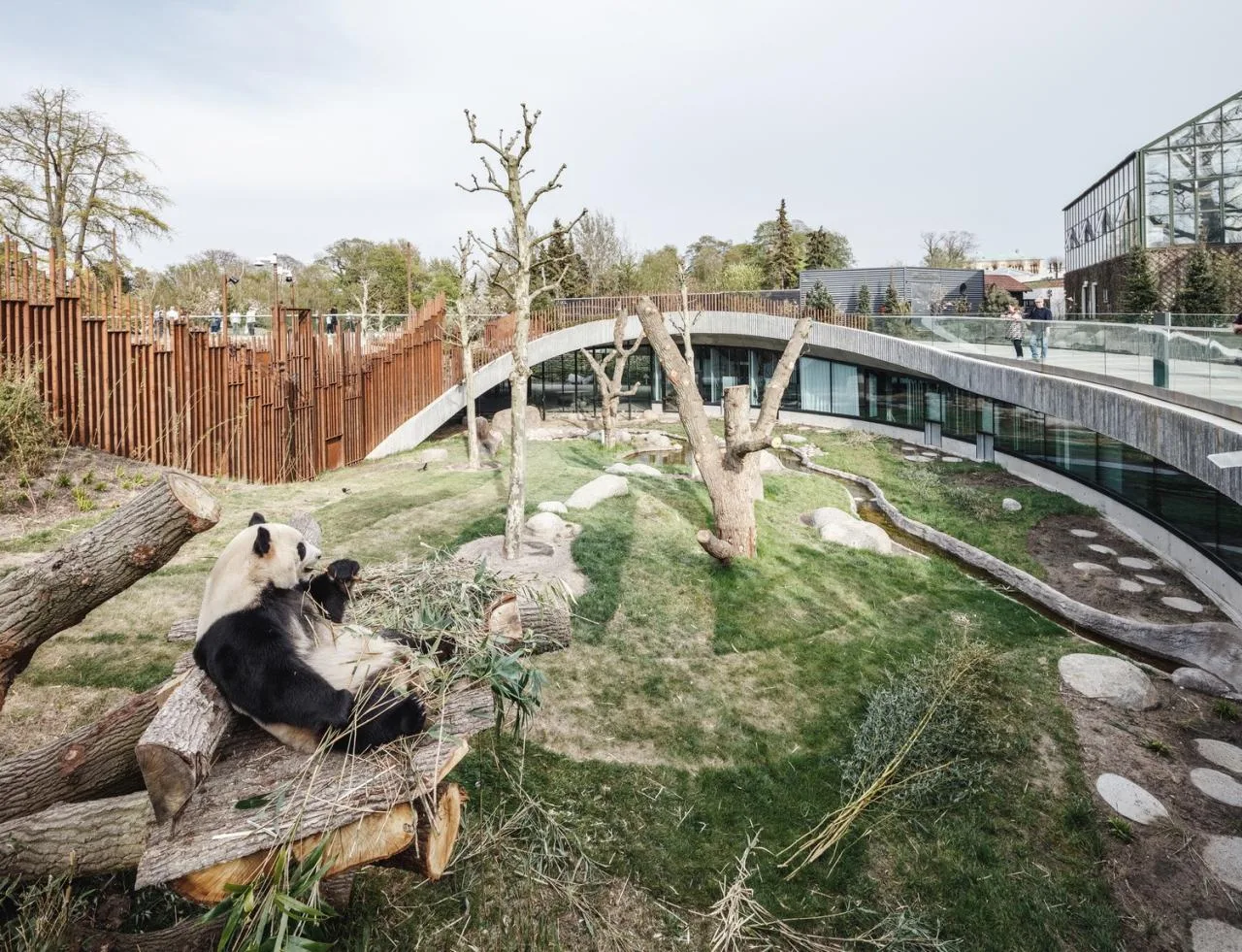 BIM Architecture | Copenhagen Zoo Yin Yang Panda Pavilion/BIG
