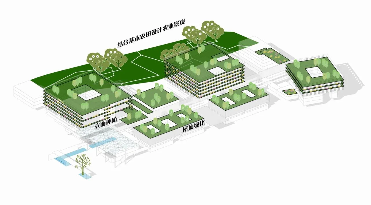 BIM Architecture | Bidding Project of Fuqing Second Hospital/Sixth Branch of Shandong Architectural Design and Research Institute