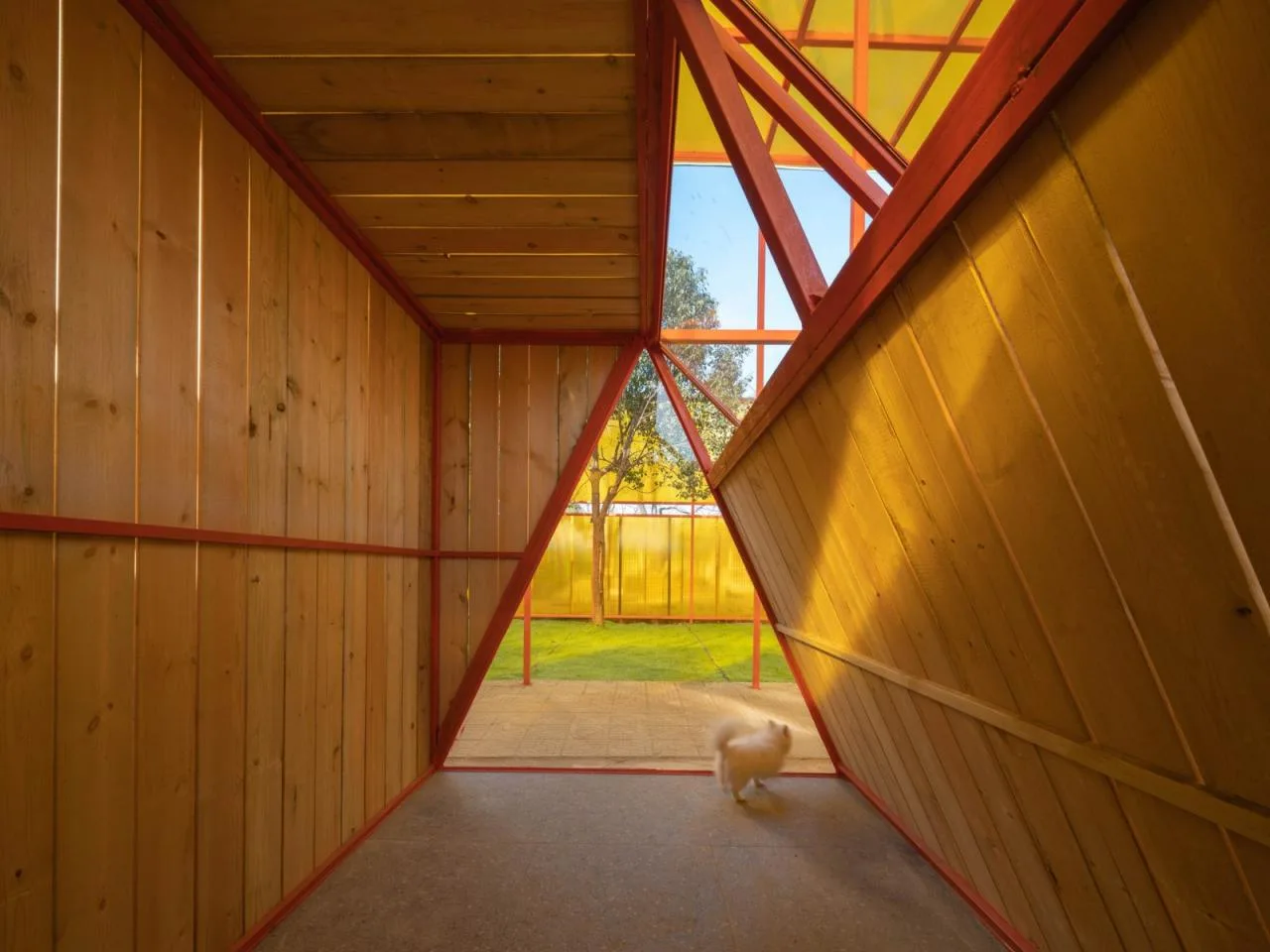 BIM Architecture | Stray Animal Protection Base/UAO Ruituo Design