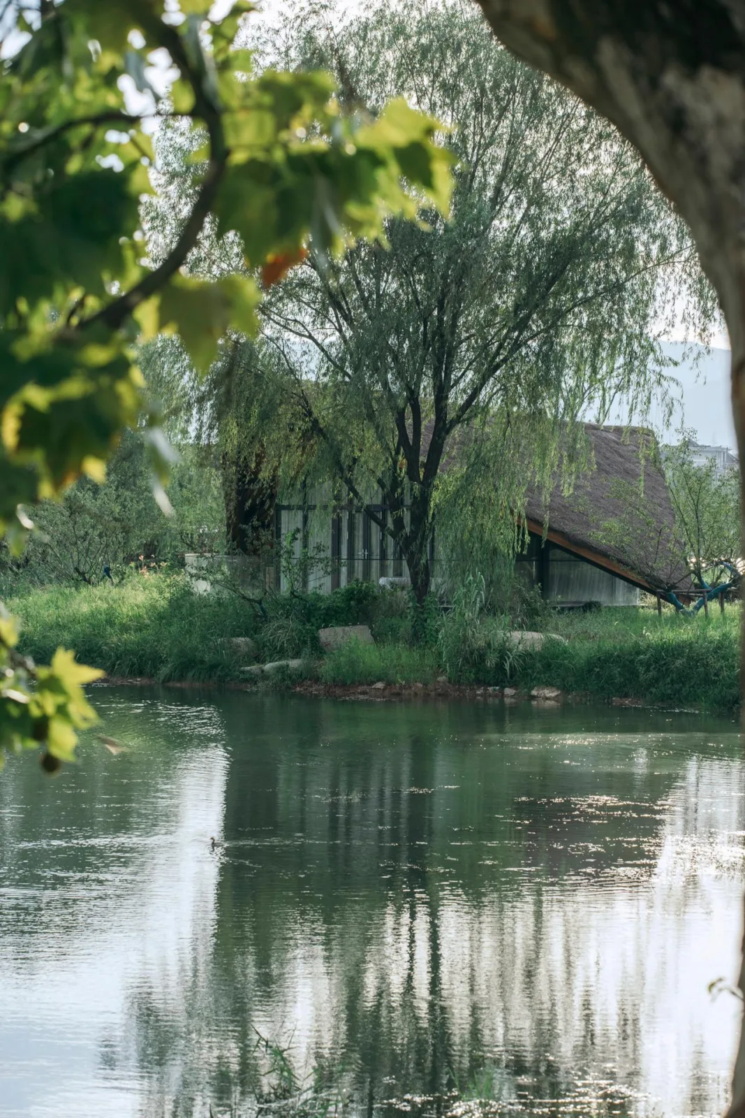 BIM Architecture | Fuyang Yangpi Lake Wetland Ecological Hotel/Jianlin Architecture