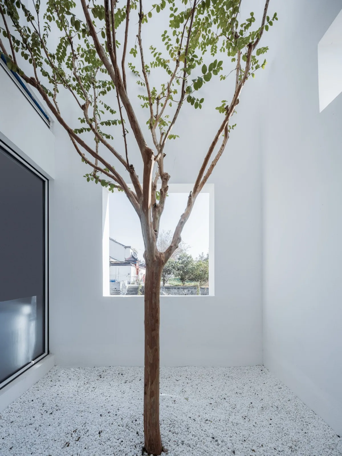 BIM Architecture | Section is Facade: White Suzhou Companion House/Wutopia Lab