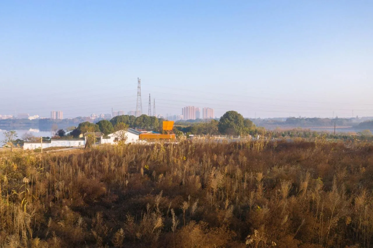 BIM Architecture | Stray Animal Protection Base/UAO Ruituo Design