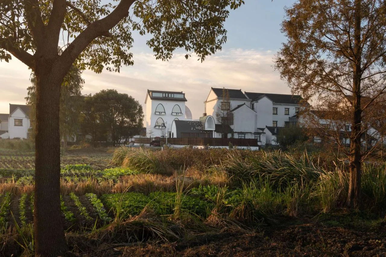 BIM Architecture | Renovation of Huahai Homestay in Daijing Village/Fandu Design Firm