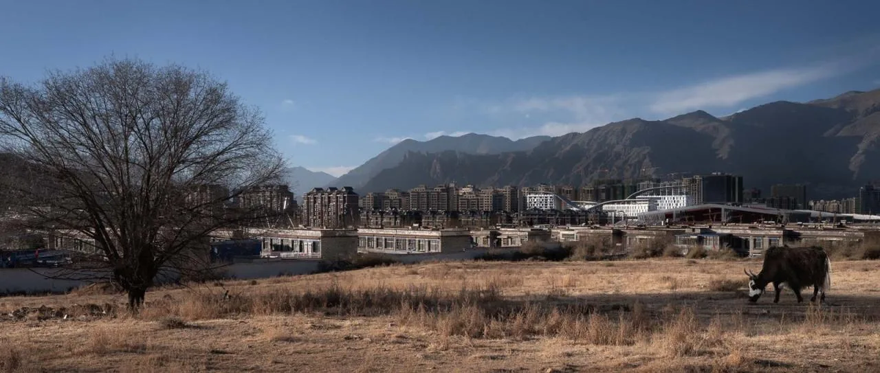 BIM Architecture | Xizang Women and Children's Hospital/Bazuo Architectural Design Firm