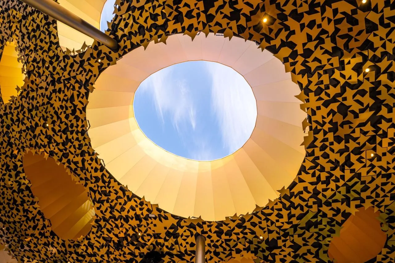 BIM Architecture | Hungary's Music House Officially Opened / Shosuke Fujimoto