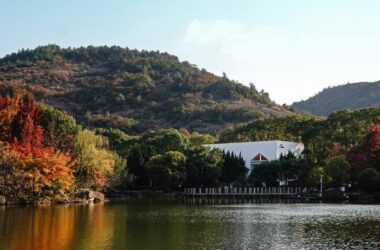 BIM Architecture: Leisure Bar by Pingjie Design at Baimajian Longchi Scenic Area-BIM WORLD