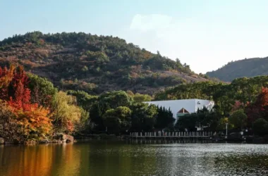 BIM Architecture: Leisure Bar by Pingjie Design at Baimajian Longchi Scenic Area-BIM WORLD
