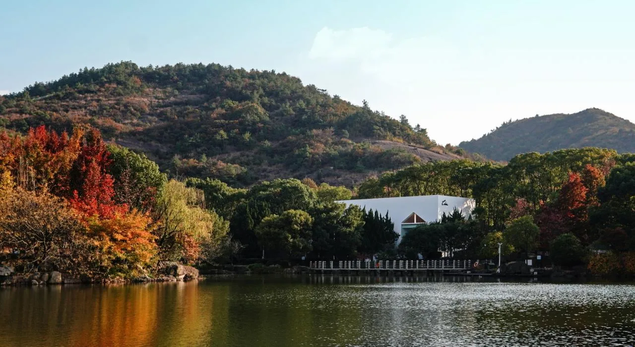 BIM Architecture | Leisure Bar/Pingjie Design in Baimajian Longchi Scenic Area