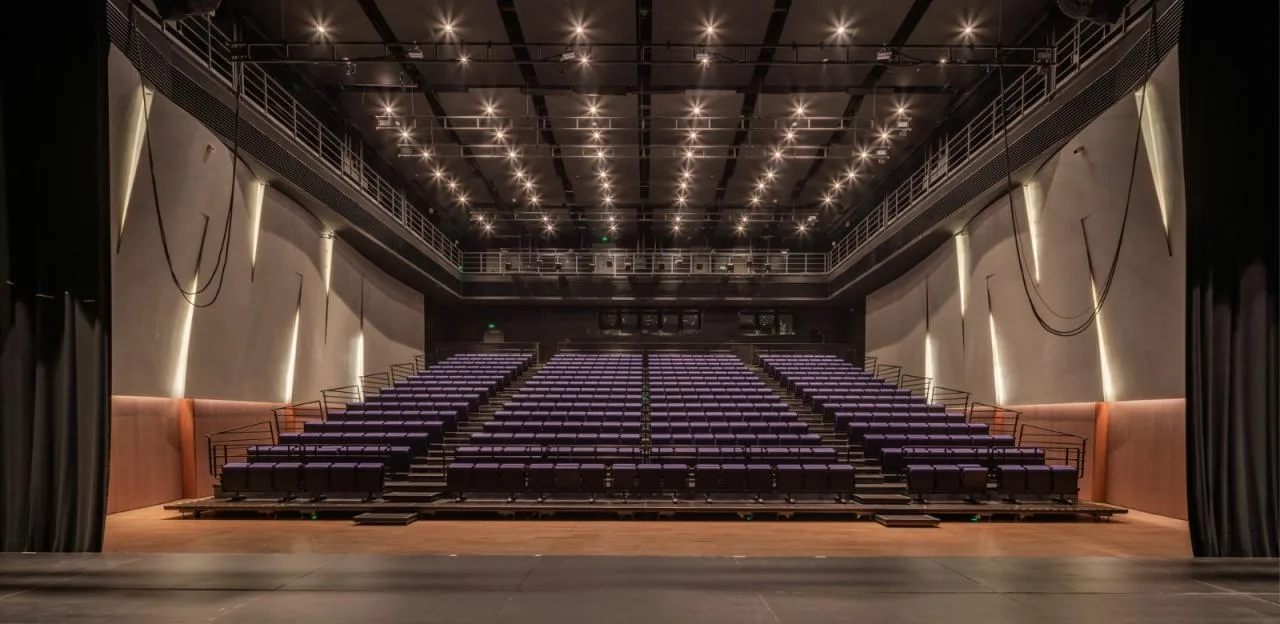 BIM Architecture | Shenzhen Bao'an Cultural District Performing Arts Center/Yan Xunqi Architectural Firm