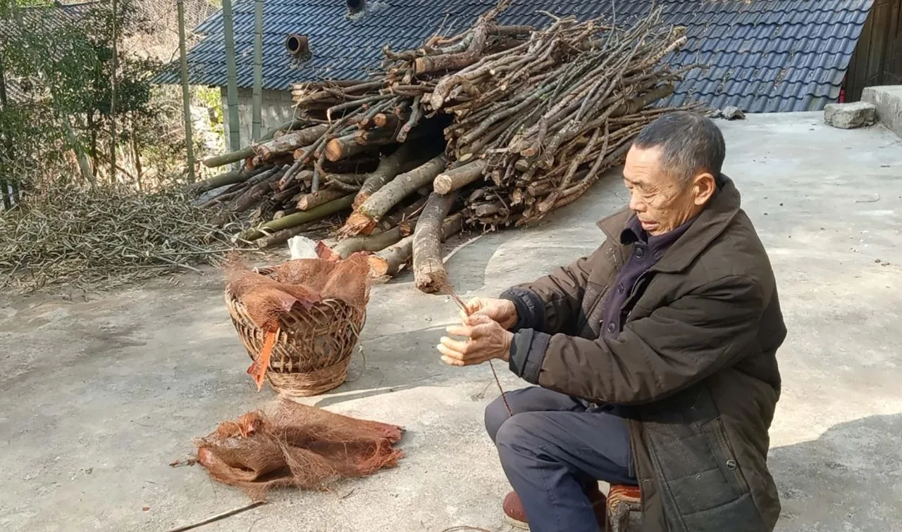 BIM Architecture | Huahai Bamboo Pavilion, City Park acupuncture and moxibustion Renewal/Vertical Beam Club+School of Architecture of South China University of Technology