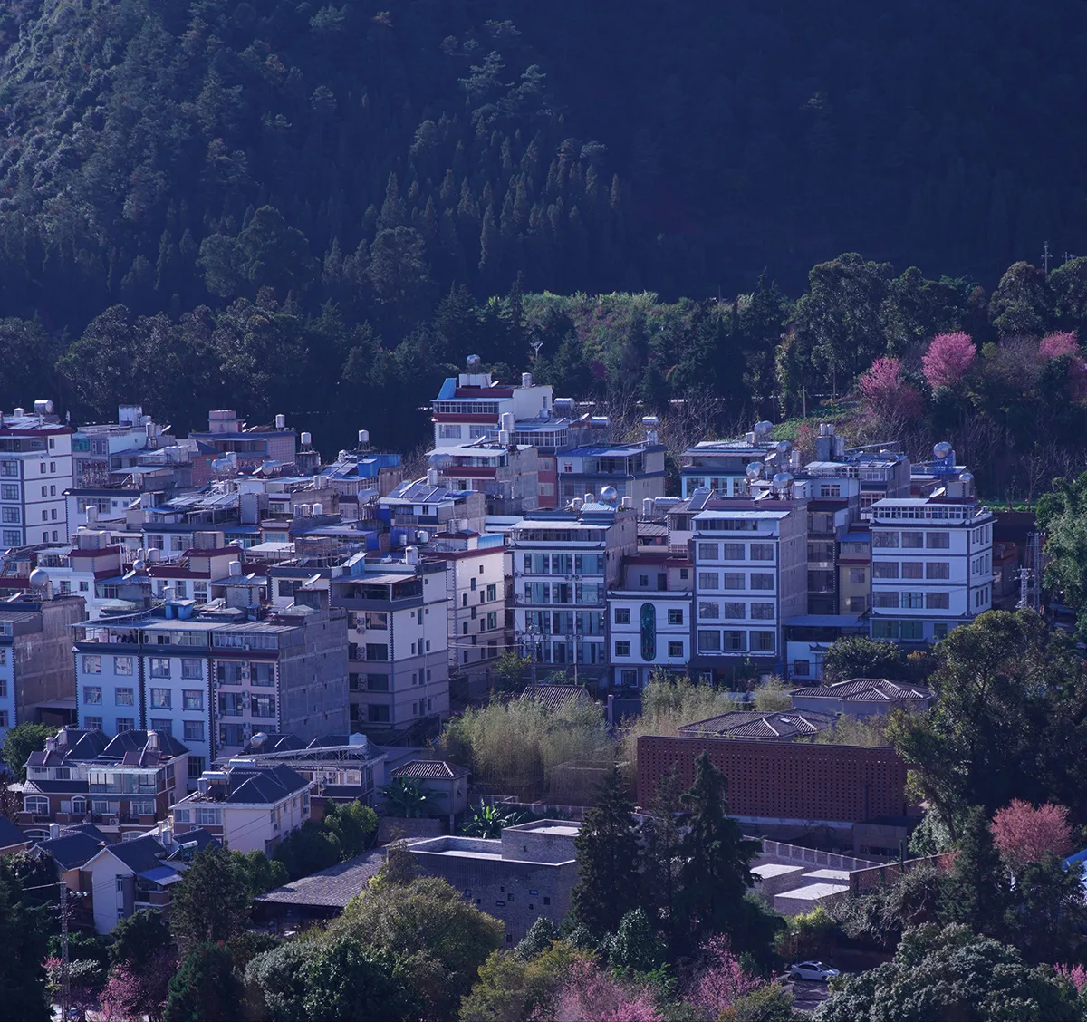 BIM Architecture | Eight Styles of Rural Construction | Rural Construction Practice Based on the Renovation of Yunnan Dazhi Xianxian Homestay/Ruan Xiaozhou Design Studio
