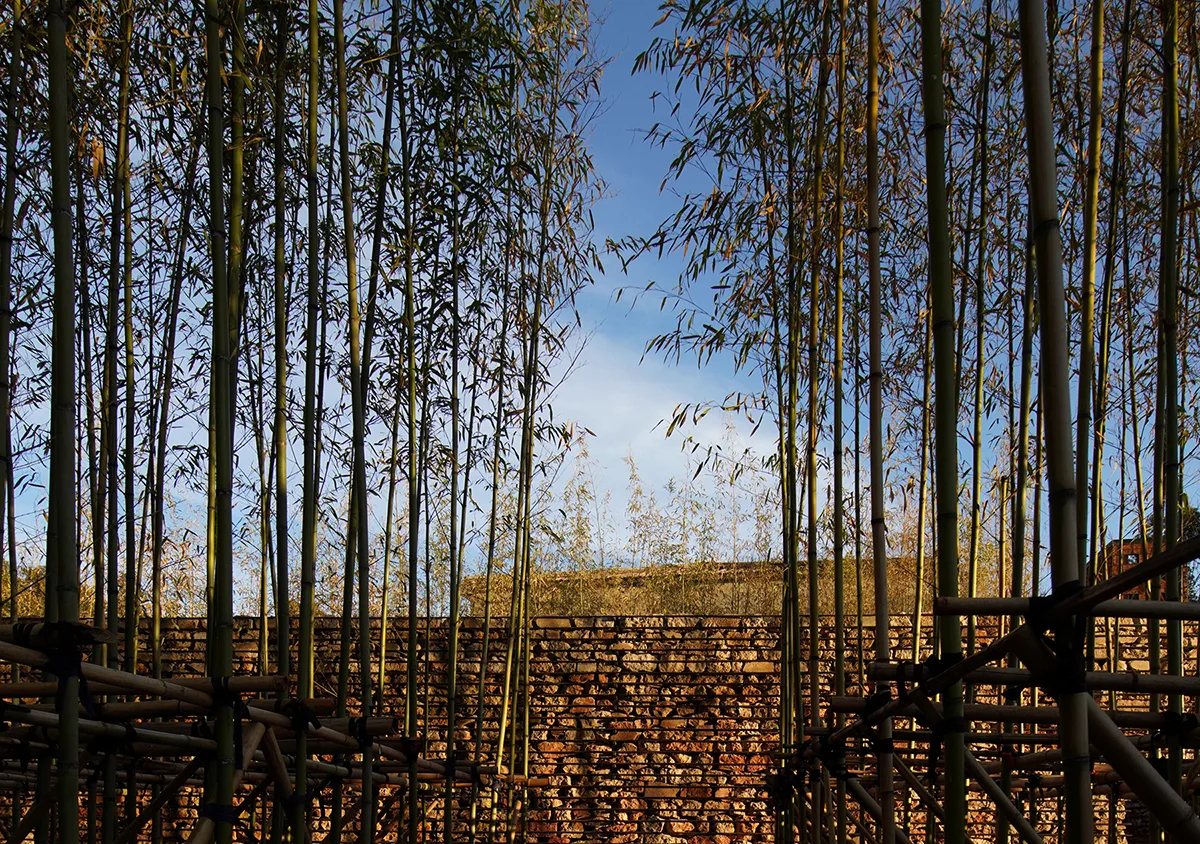 BIM Architecture | Eight Styles of Rural Construction | Rural Construction Practice Based on the Renovation of Yunnan Dazhi Xianxian Homestay/Ruan Xiaozhou Design Studio