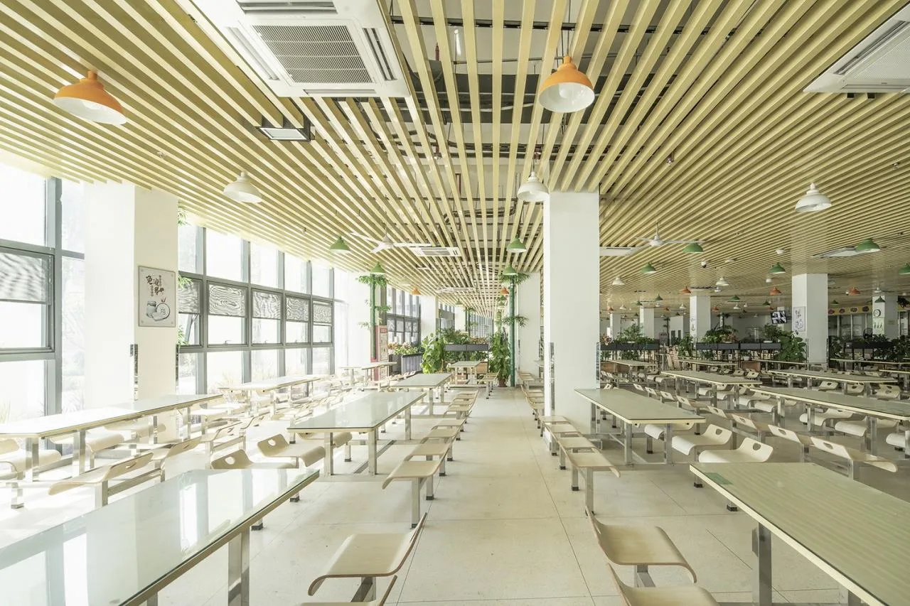 BIM Architecture | Phoenix School in Guangming New District, Shenzhen / 'Zhong Zhong + Zhong Bo Bo' Studio of Shenzhen University Architectural Design and Research Institute