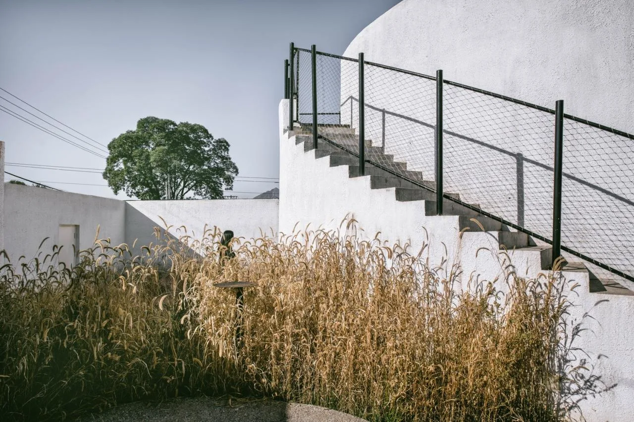 BIM Architecture | Twin Courtyard Homestay/Similar Architecture