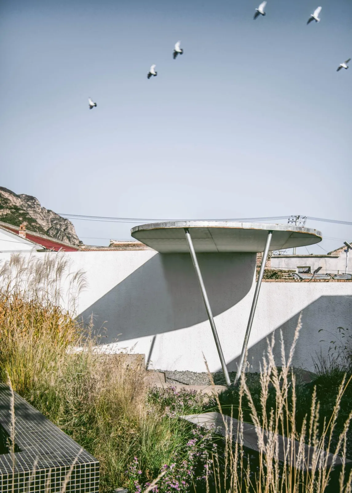 BIM Architecture | Twin Courtyard Homestay/Similar Architecture