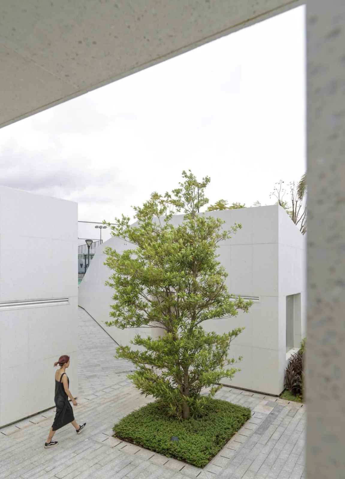 BIM Architecture | Fertile Soil | Pazhou Poly Sports Park Service Center/Shanghai Interbuilding Design