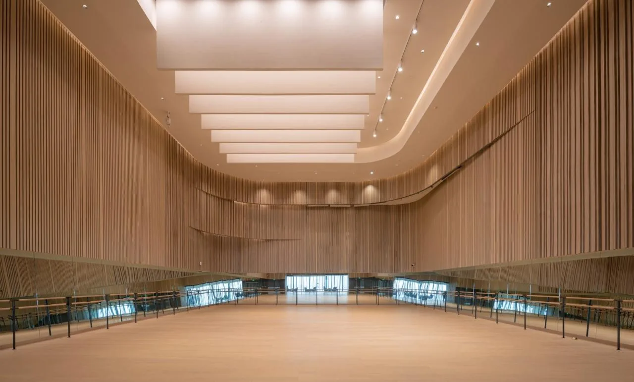 BIM Architecture | Shenzhen Bao'an Cultural District Performing Arts Center/Yan Xunqi Architectural Firm