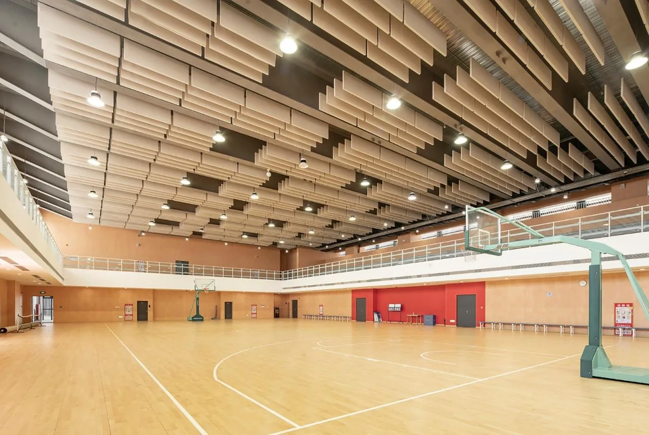 BIM Architecture | Phoenix School in Guangming New District, Shenzhen / 'Zhong Zhong + Zhong Bo Bo' Studio of Shenzhen University Architectural Design and Research Institute
