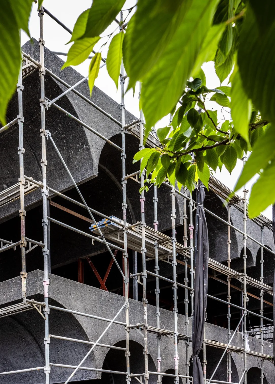 BIM Architecture | Tsuruoka House/Takeda Qingming Architectural Design Firm