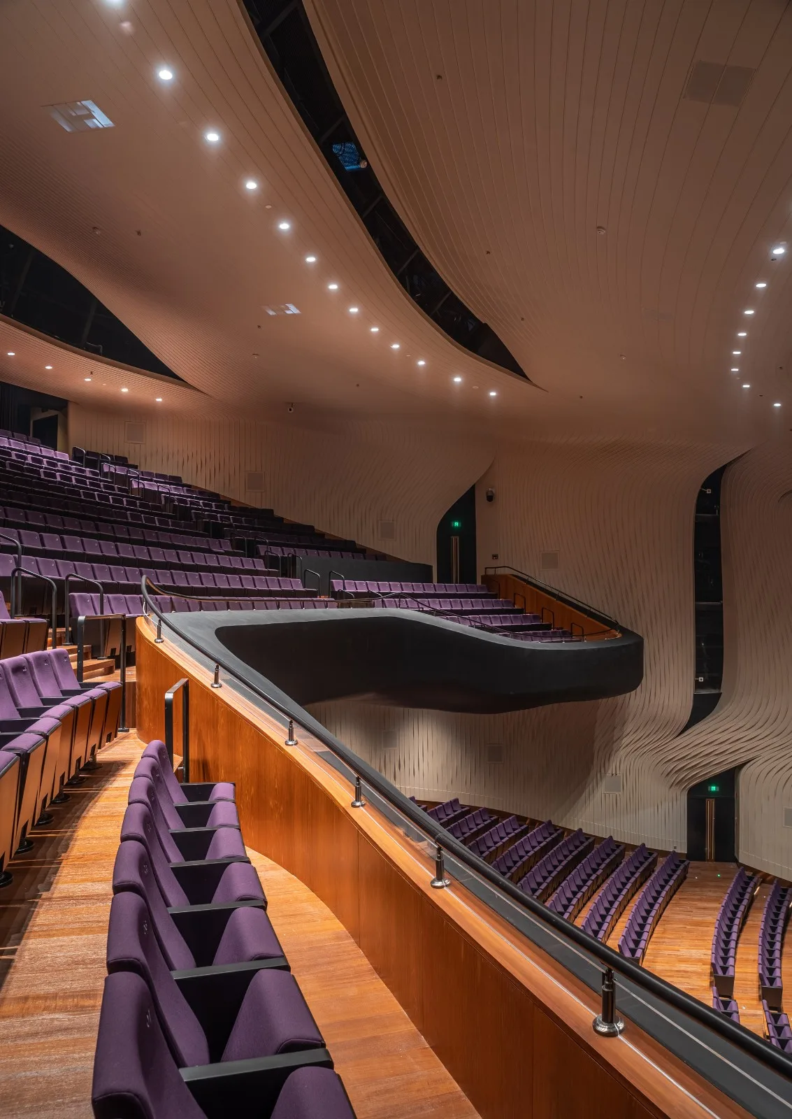 BIM Architecture | Shenzhen Bao'an Cultural District Performing Arts Center/Yan Xunqi Architectural Firm