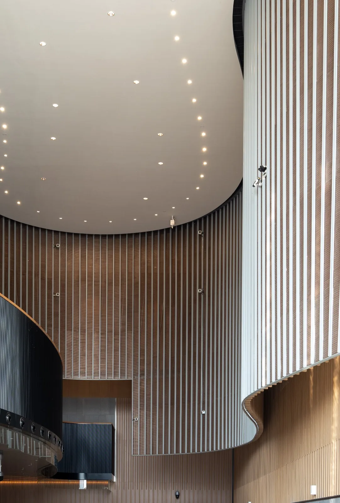 BIM Architecture | Shenzhen Bao'an Cultural District Performing Arts Center/Yan Xunqi Architectural Firm