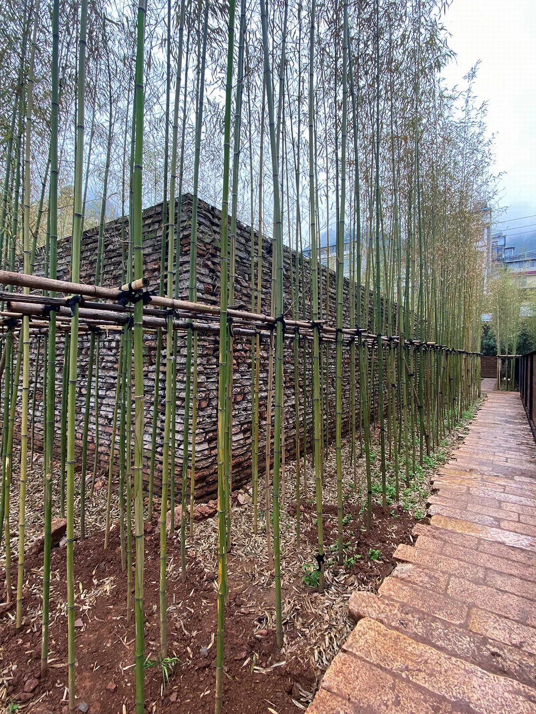 BIM Architecture | Eight Styles of Rural Construction | Rural Construction Practice Based on the Renovation of Yunnan Dazhi Xianxian Homestay/Ruan Xiaozhou Design Studio
