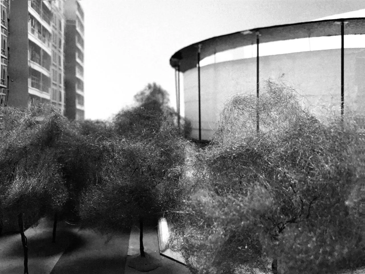 BIM Architecture | DreamWorks Renovation/Hill Architecture (Lantau Island Architecture+Lan Architecture)