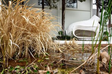 BIM Architecture: Childhood Dreams Inspired by Changkong Tea Language and Creation-BIM WORLD