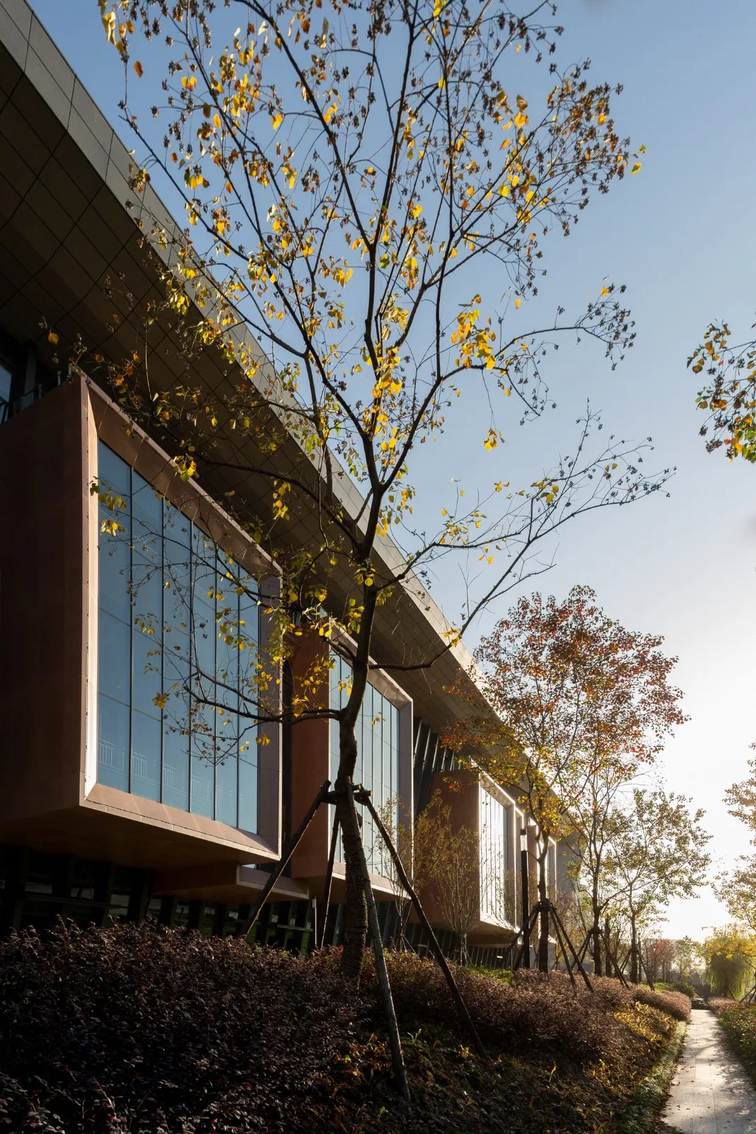 BIM Architecture | Running on Clouds: Hangzhou Li Ning Sports Park Phase I Project/Botao Architecture