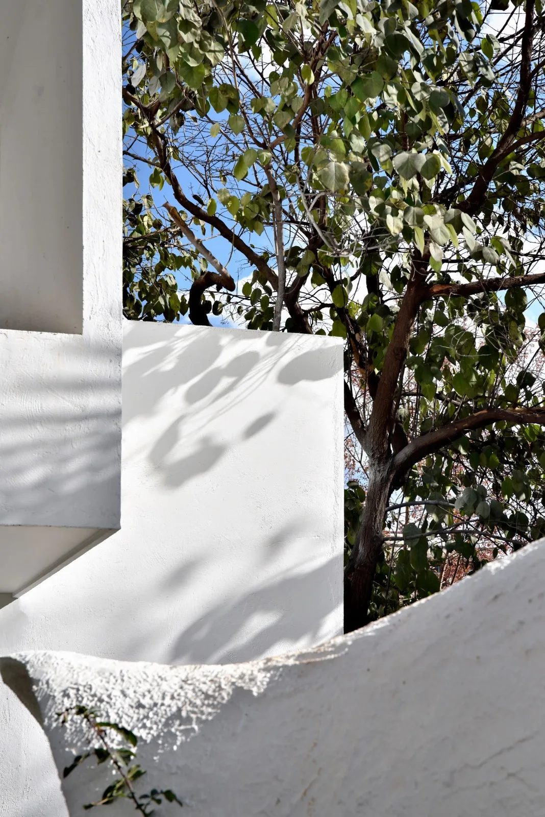 BIM Architecture | Dreaming of Childhood: Changkong Tea Language/Changkong Creation