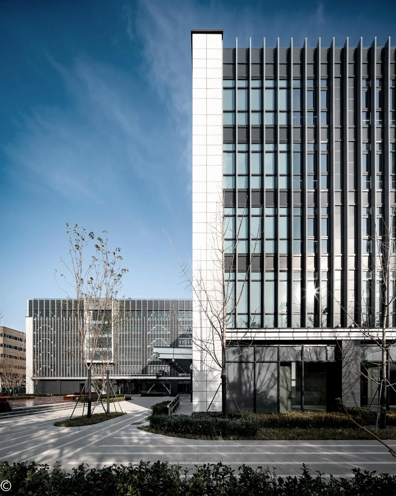 BIM Architecture | Hongyuan New Era Building/Beijing Puzuo Architectural Design Co., Ltd