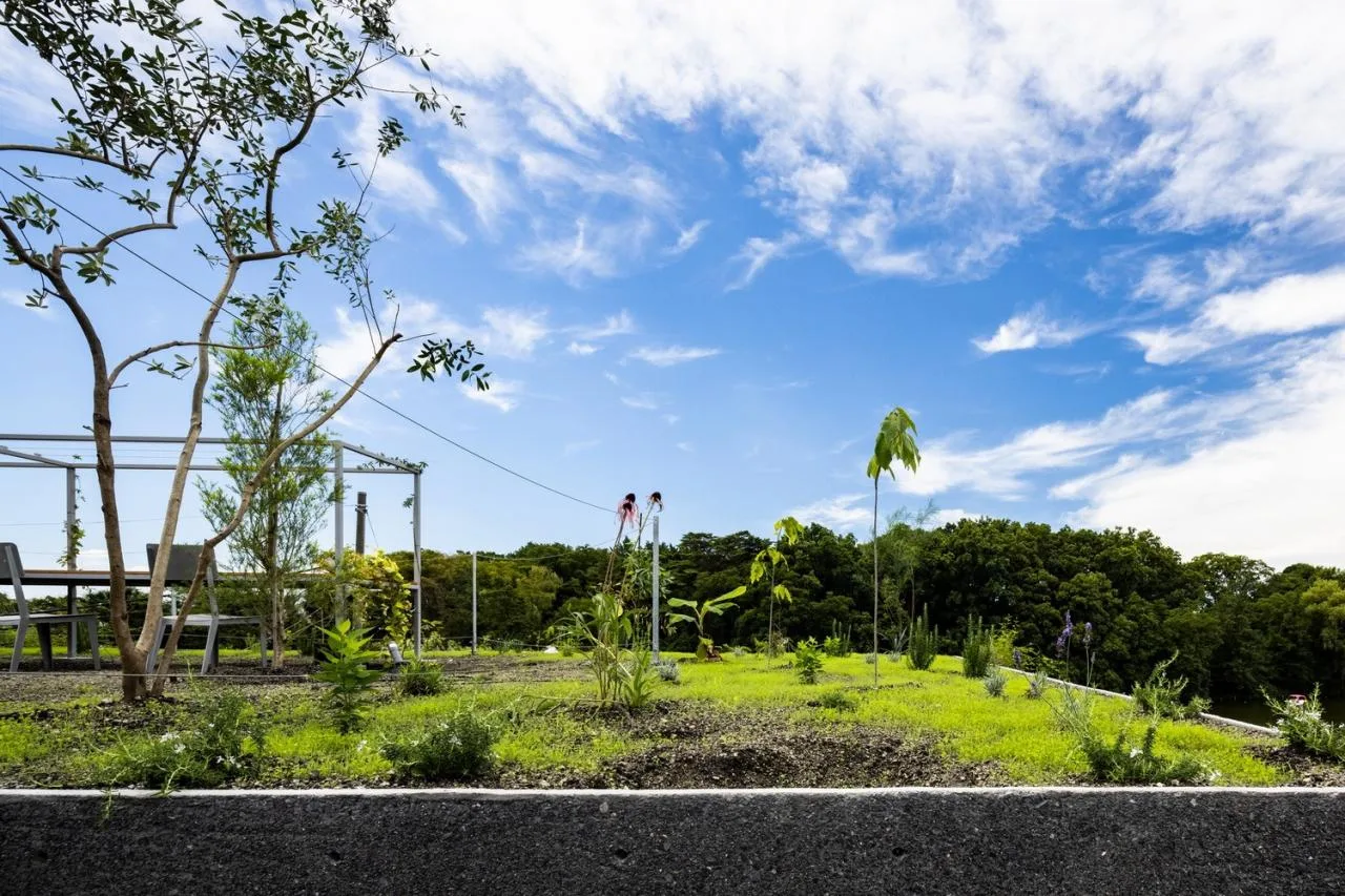 BIM Architecture | Tsuruoka House/Takeda Qingming Architectural Design Firm