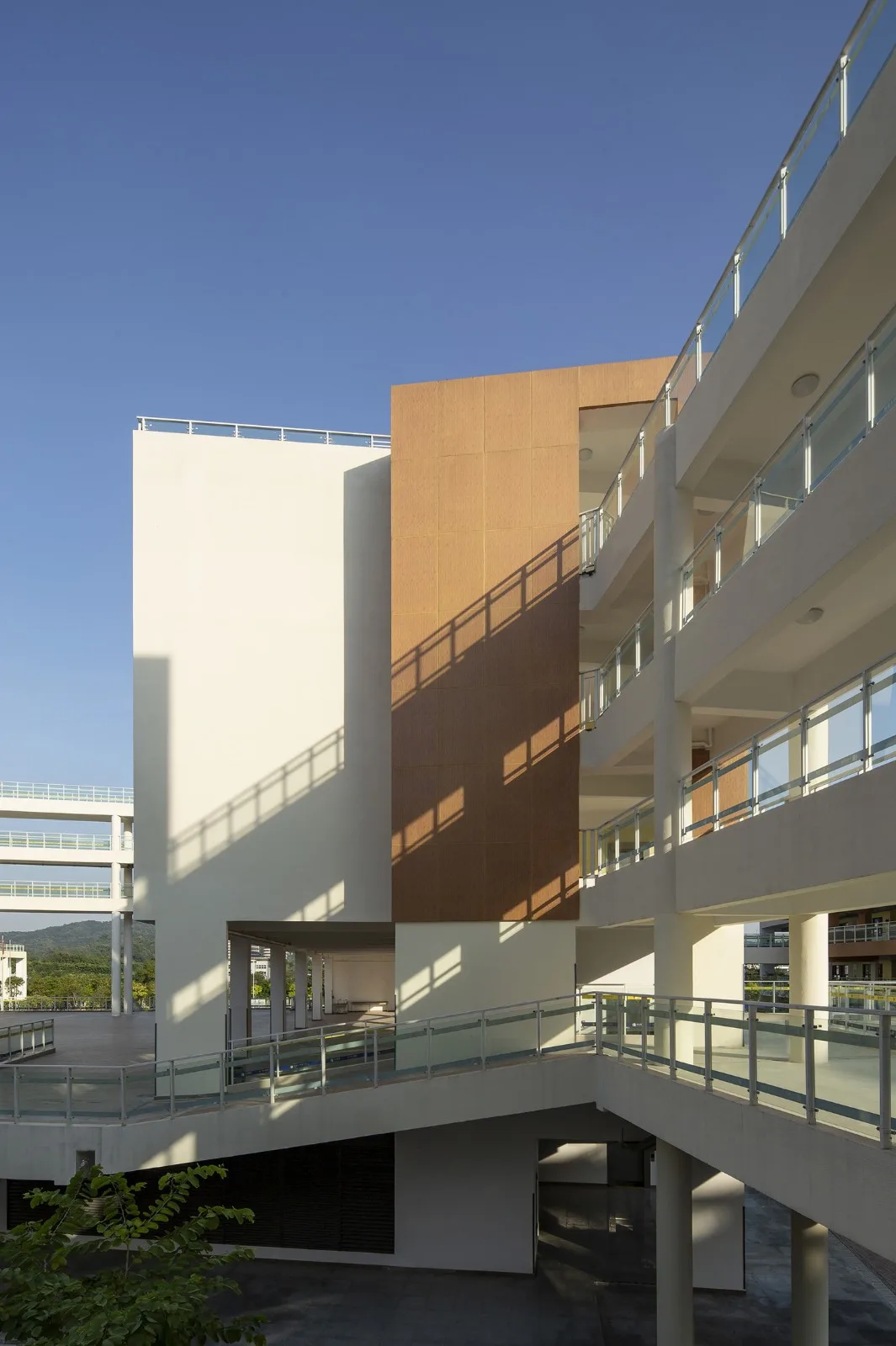 BIM Architecture | Phoenix School in Guangming New District, Shenzhen / 'Zhong Zhong + Zhong Bo Bo' Studio of Shenzhen University Architectural Design and Research Institute