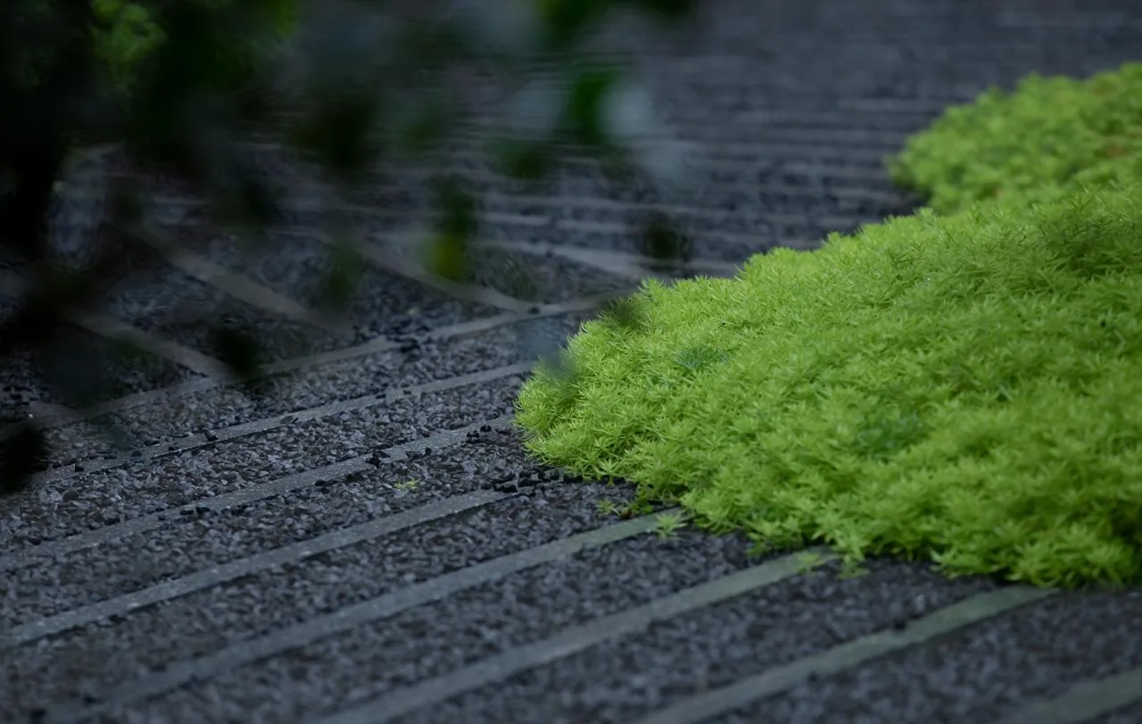 BIM Architecture | Urban Forest Residential Garden/ZSD Zhuoshi