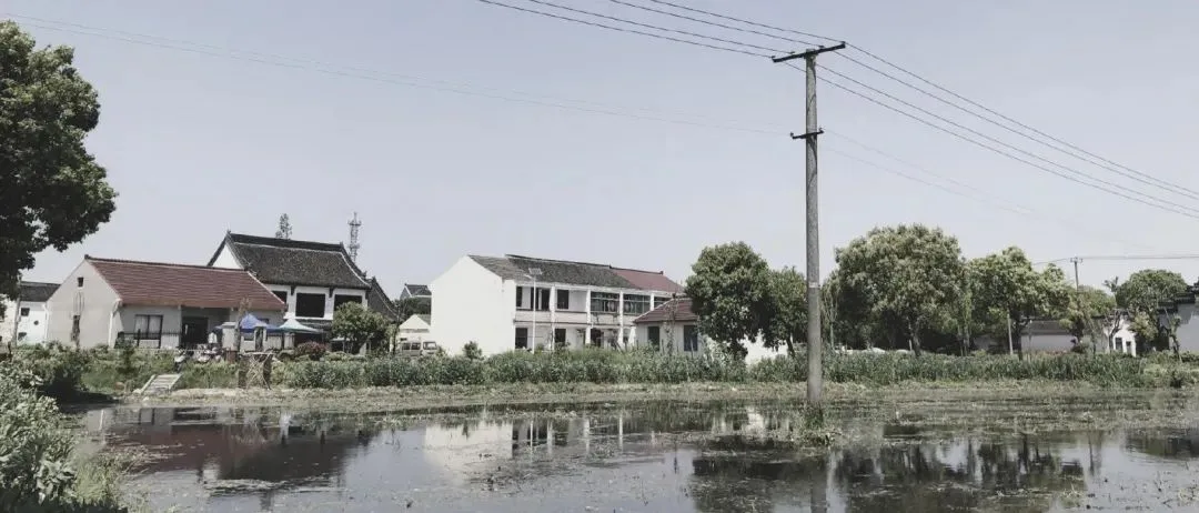 BIM Architecture | Low Cost Whole Village Renovation Practice: Rural Revitalization of Liyao Village in Fengxian, Shanghai/Water Stone Design