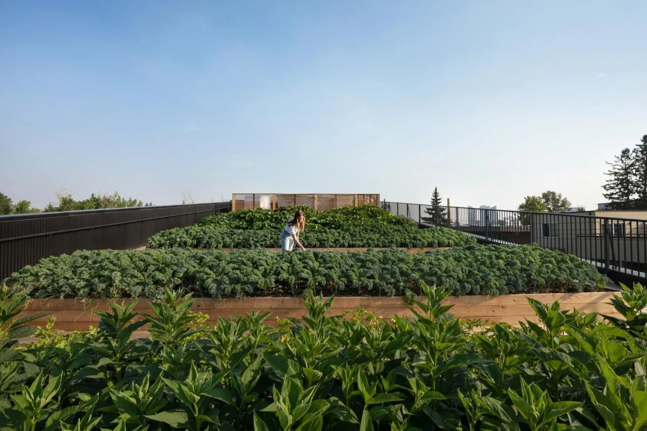 BIM Architecture | GROW Residential Area/Modern Design and Architecture Studio