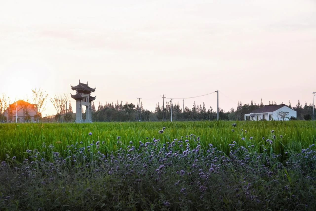 BIM Architecture | Low Cost Whole Village Renovation Practice: Rural Revitalization of Liyao Village in Fengxian, Shanghai/Water Stone Design