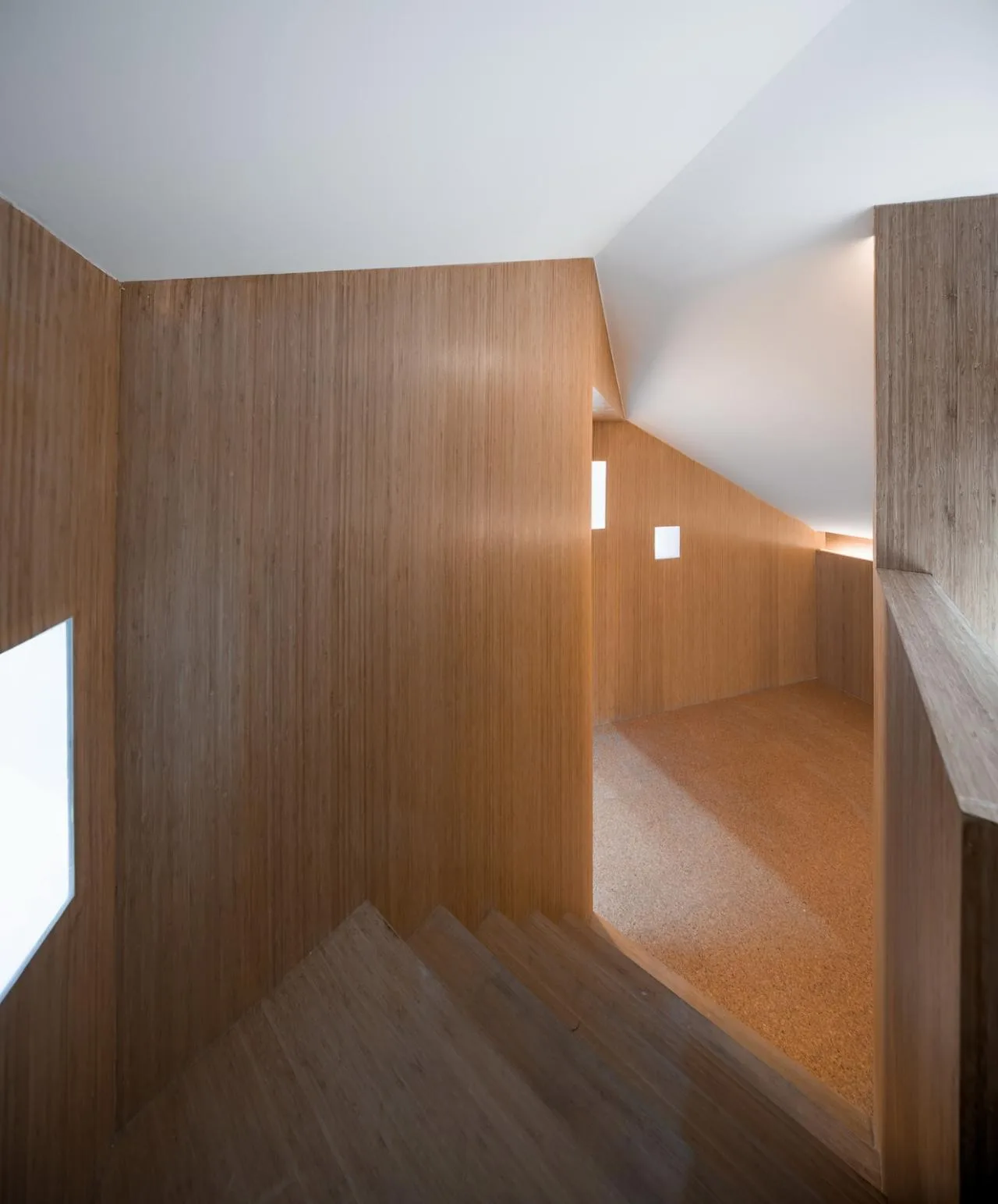 BIM Architecture | Carnival School/Similar Architectural Design