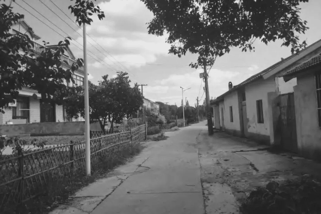 BIM Architecture | Low Cost Whole Village Renovation Practice: Rural Revitalization of Liyao Village in Fengxian, Shanghai/Water Stone Design