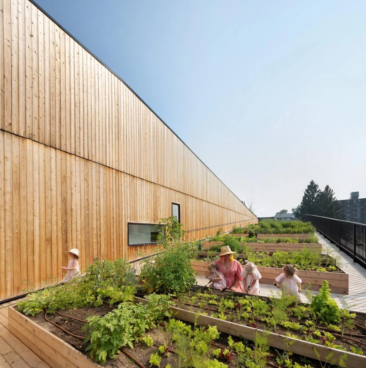 BIM Architecture | GROW Residential Area/Modern Design and Architecture Studio
