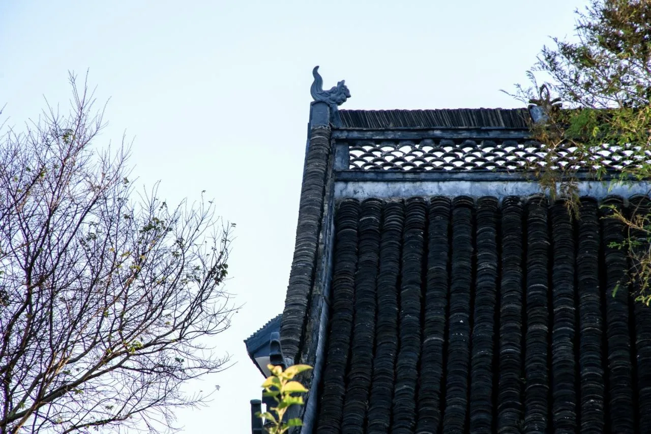 BIM Architecture | Low Cost Whole Village Renovation Practice: Rural Revitalization of Liyao Village in Fengxian, Shanghai/Water Stone Design