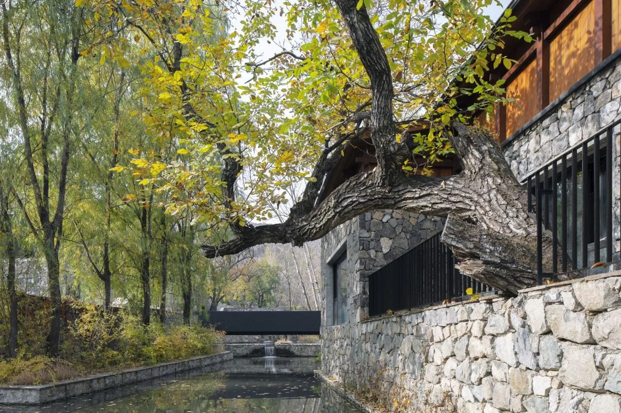 BIM Architecture | Hidden North Luxury Hotel/Penda China